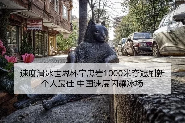 速度滑冰世界杯宁忠岩1000米夺冠刷新个人最佳 中国速度闪耀冰场