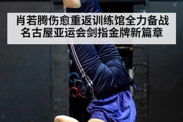 肖若腾伤愈重返训练馆全力备战名古屋亚运会剑指金牌新篇章