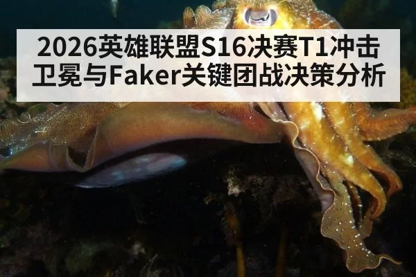 2026英雄联盟S16决赛T1冲击卫冕与Faker关键团战决策分析